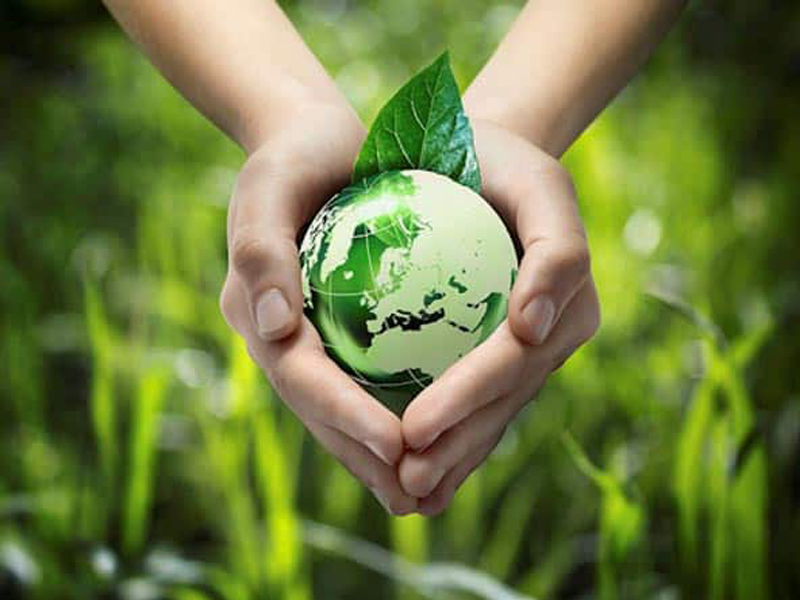 Bao bì thân thiện với môi trường giảm thiểu tác động tiêu cực của bao bì nhựa, bảo vệ môi trường