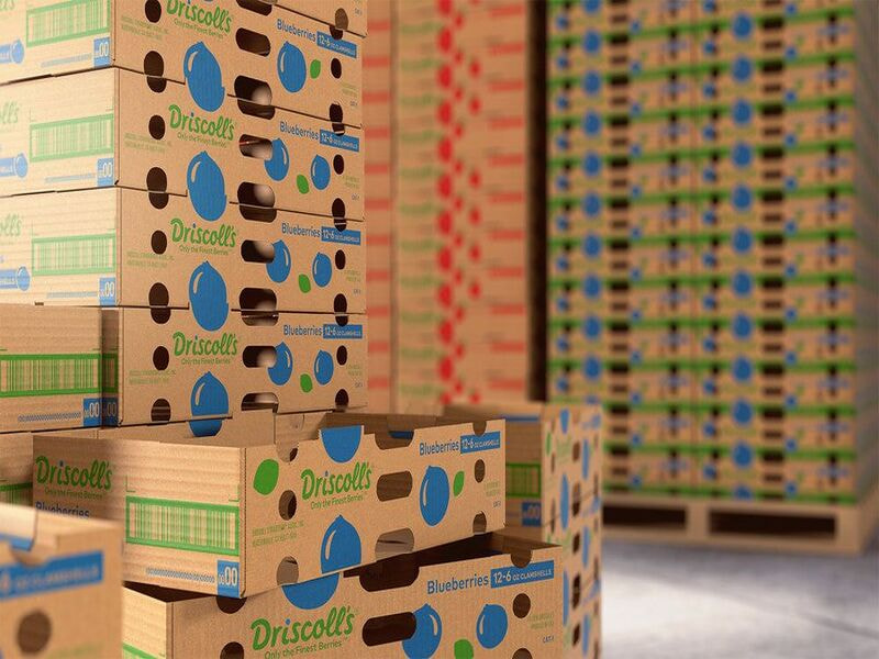 Gợi ý địa chỉ cung cấp dịch vụ in ấn hộp giấy giá rẻ