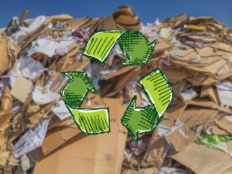 Một số loại giấy tái chế được