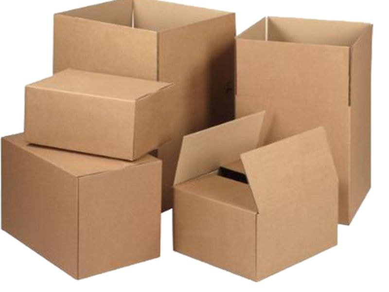 Ứng dụng đa dạng của thùng carton