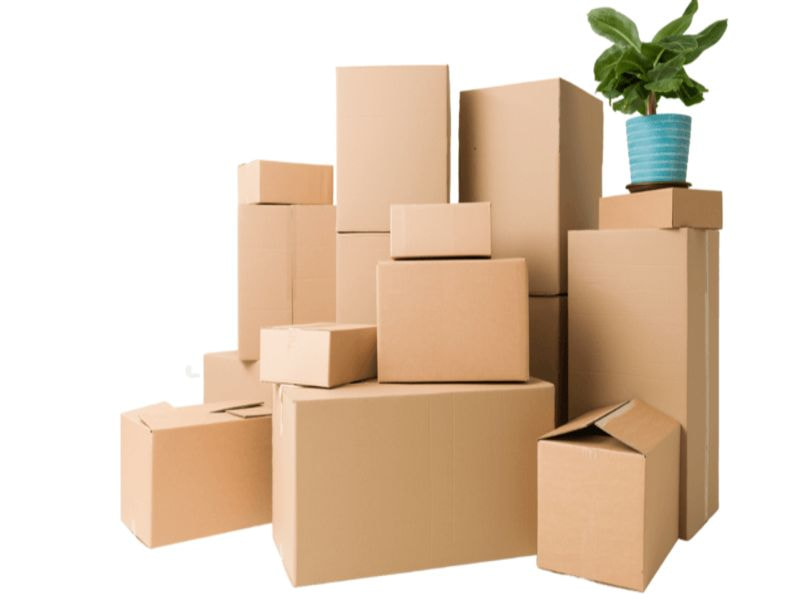 Phân loại thùng carton tại thị trường tỉnh Quảng Trị