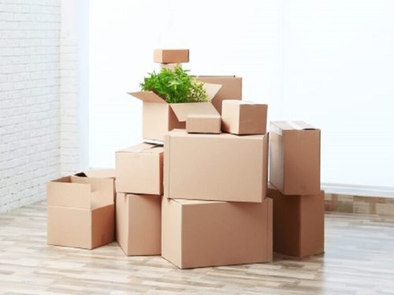 hộp ship cod là gì, hộp ship cod, hộp ship cod giá rẻ, hộp ship cod hà nội