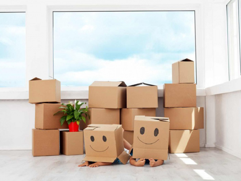 Các loại hộp carton tại Đan Phượng phổ biến