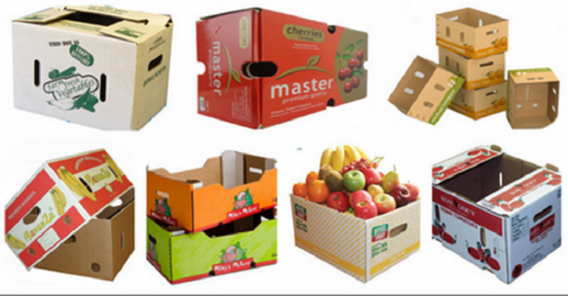 khay carton đựng nông sản, khay carton đựng trái cây, khay carton đựng hoa quả, khay giấy đựng nông sản, khay giấy đựng trái cây, khay giấy đựng hoa quả
