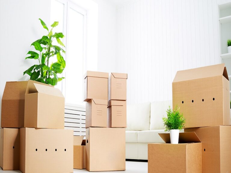 Những nguyên nhân chính làm biến đổi khí hậu toàn cầu