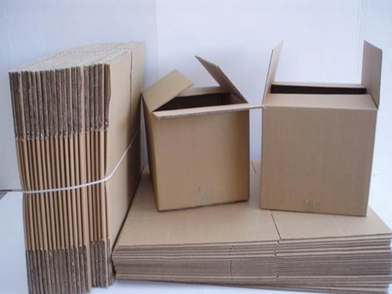 Có rất nhiều mẫu mã, kích thước, thiết kế thùng giấy carton phù hợp với nhiều loại hàng hóa khác nhau
