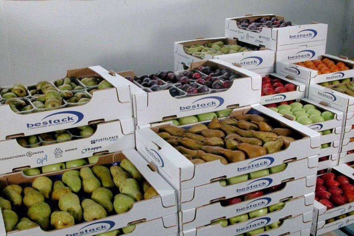 Tiết lộ tất tần tật về dịch vụ in hộp giấy hiện nay