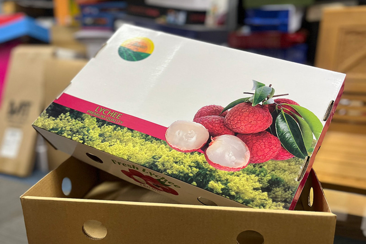 Tìm hiểu sản xuất hộp carton in offset và các kỹ thuật in khác