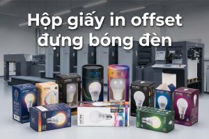Hộp giấy in offset đựng bóng đèn