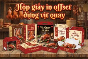 Hộp giấy in offset đựng vịt quay